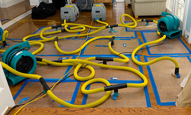 Professional Crawl Space Water Removal technician working in Indialantic, FL
